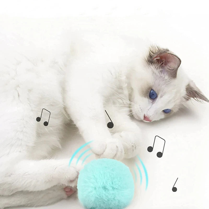MeowMotion - My Store
