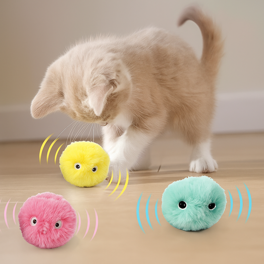 MeowMotion - My Store